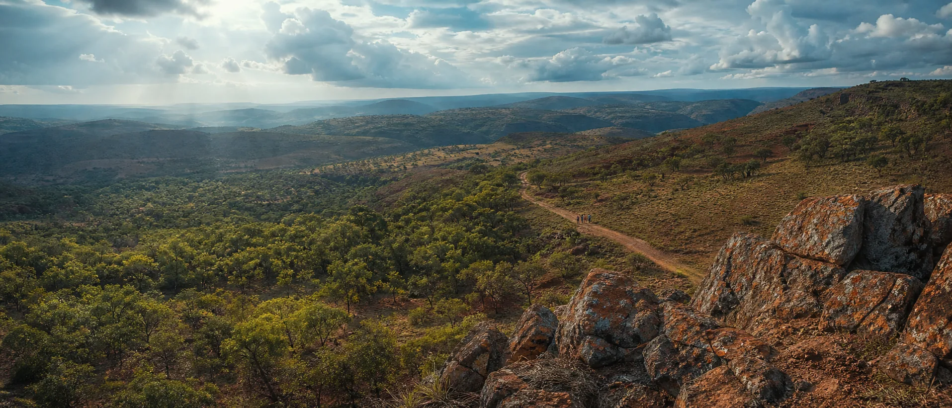 Copperbelt landscape in the Democratic Republic of the Congo